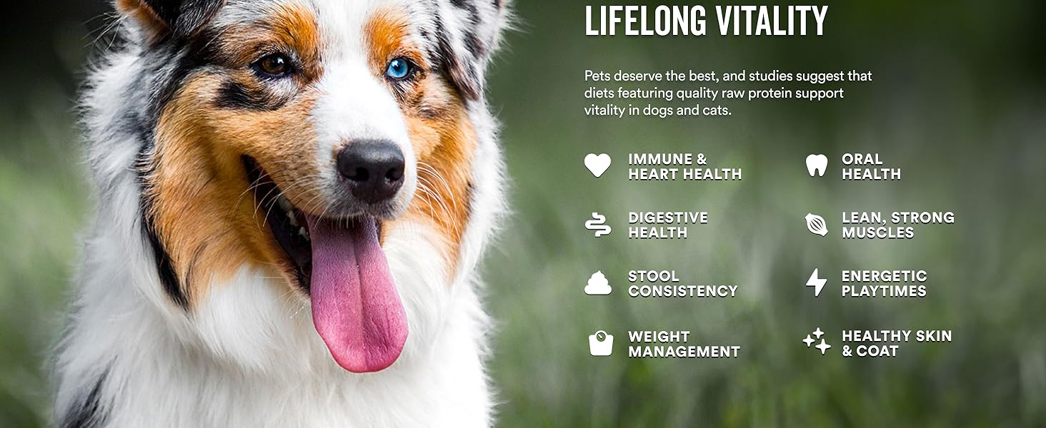 Lifelong vitality. Picture of dog and product benefits.