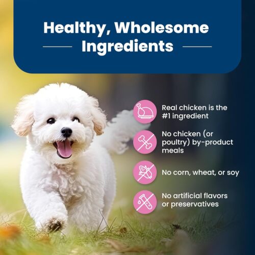 Blue Buffalo Life Protection Formula Adult Small Breed Dry Dog Food, Supports High Energy Needs, Made with Natural Ingredients, Chicken & Brown Rice Recipe, 5-lb. Bag - Image 7