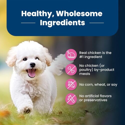 Blue Buffalo Life Protection Formula Adult Small Breed Dry Dog Food, Supports High Energy Needs, Made with Natural Ingredients, Chicken & Brown Rice Recipe, 5-lb. Bag - Image 20