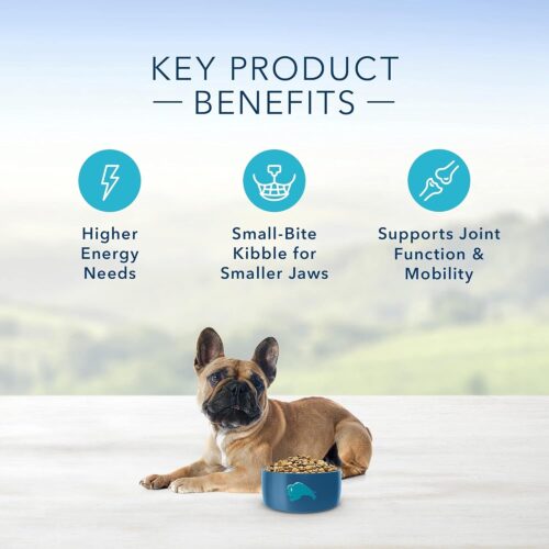 Blue Buffalo Life Protection Formula Adult Small Breed Dry Dog Food, Supports High Energy Needs, Made with Natural Ingredients, Chicken & Brown Rice Recipe, 5-lb. Bag - Image 32