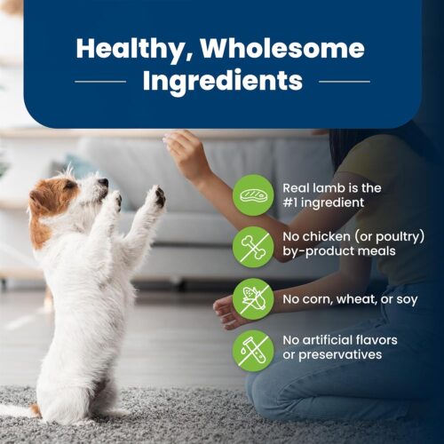 Blue Buffalo Life Protection Formula Adult Small Breed Dry Dog Food, Supports High Energy Needs, Made with Natural Ingredients, Chicken & Brown Rice Recipe, 5-lb. Bag - Image 41