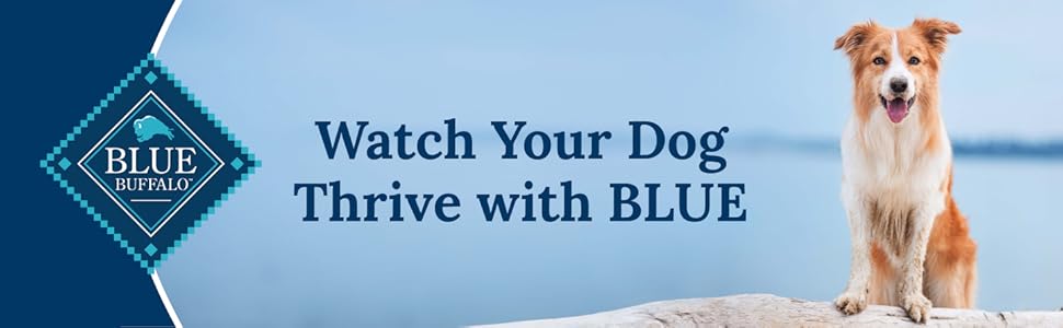 Blue, Blue Buffalo, Blue Buffalo Dog Food, Dog Food, Dry Dog Food, Healthy Dog Food, Natural Dog