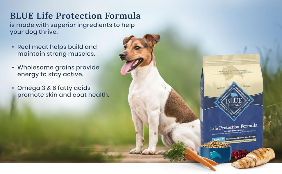Blue Buffalo, Dog Food, Dry Dog Food, Natural Dog Food, Healthy Dog Food, BLUE Dry Dog Food