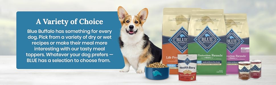 BLUE, Blue Buffalo, Blue Buffalo Dog Food, Dry Dog Food, Healthy Dog Food, Blue Buffalo Dry Dog Food