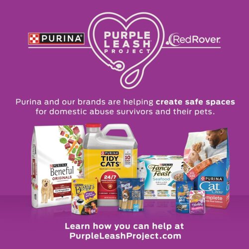 Purina Busy Bone Made in USA Facilities, Long Lasting Small/Medium Breed Adult Dog Chews, Peanut Butter Flavor - 10 ct. Pouch - Image 9