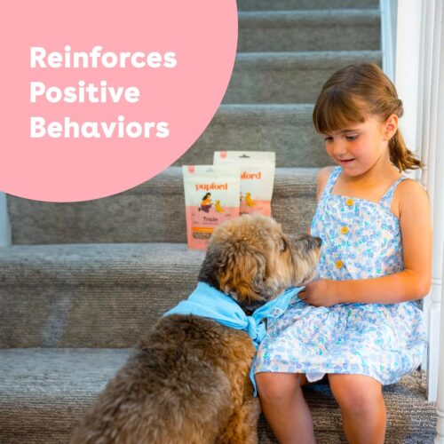 Pupford Freeze Dried Training Treats for Dogs & Puppies, 475+ Three Ingredient Bites (Beef Liver, 4 oz) - Image 19