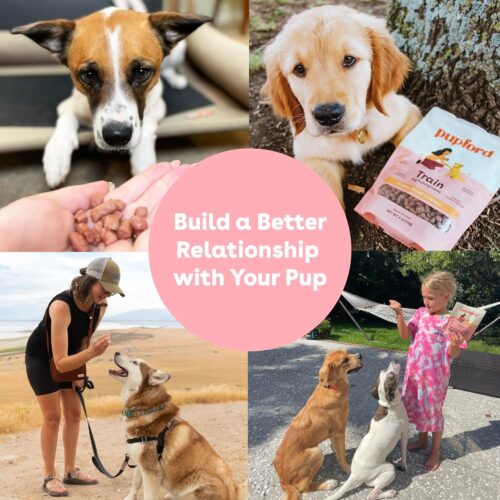 Pupford Freeze Dried Training Treats for Dogs & Puppies, 475+ Three Ingredient Bites (Beef Liver, 4 oz) - Image 22