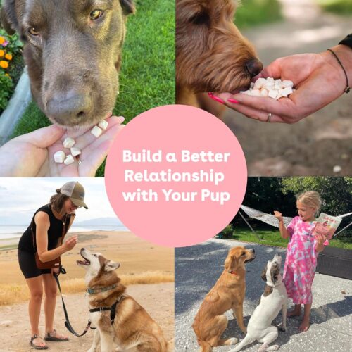 Pupford Freeze Dried Training Treats for Dogs & Puppies, 475+ Three Ingredient Bites (Beef Liver, 4 oz) - Image 68