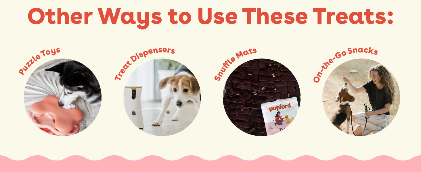 Other Ways to Use Treats Puzzles Dispensers Snuffle Mats and On the Go Snacks