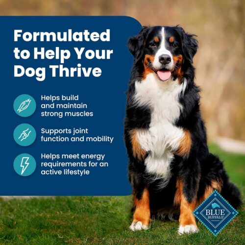 Blue Buffalo Life Protection Formula Adult Dry Dog Food, Helps Build and Maintain Strong Muscles, Made with Natural Ingredients, Chicken & Brown Rice Recipe, 30-lb. Bag - Image 71