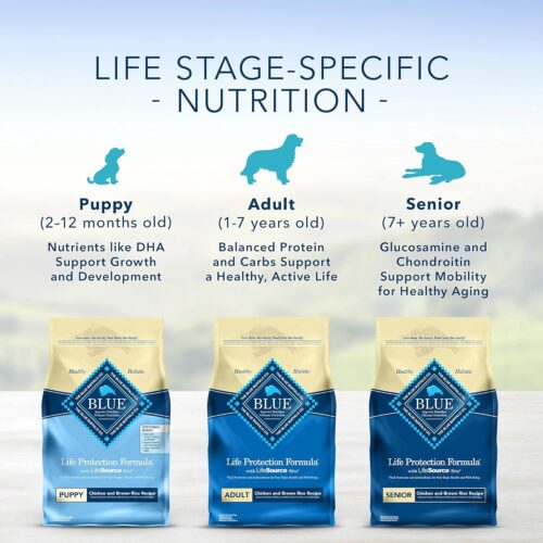 Blue Buffalo Life Protection Formula Adult Dry Dog Food, Helps Build and Maintain Strong Muscles, Made with Natural Ingredients, Chicken & Brown Rice Recipe, 30-lb. Bag - Image 123