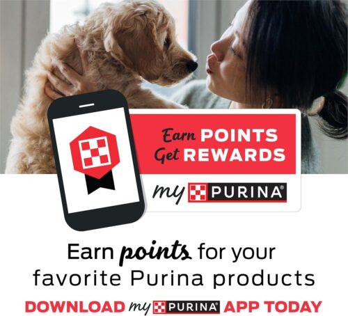 Purina Pro Plan Veterinary Supplements FortiFlora Dog Probiotic Supplement, Canine Nutritional Supplement - 30 Ct. Box - Image 17