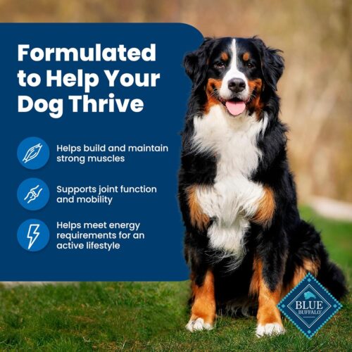 Blue Buffalo Life Protection Formula Adult Dry Dog Food, Helps Build and Maintain Strong Muscles, Made with Natural Ingredients, Chicken & Brown Rice Recipe, 30-lb. Bag - Image 152