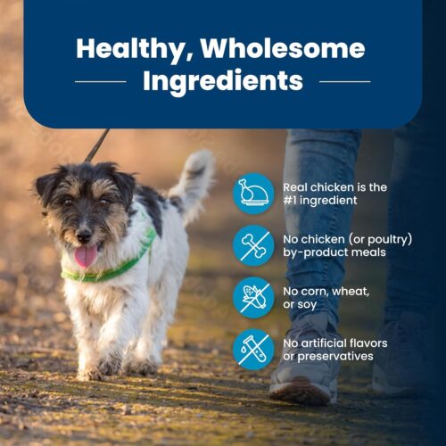 Blue Buffalo Life Protection Formula Adult Dry Dog Food, Helps Build and Maintain Strong Muscles, Made with Natural Ingredients, Chicken & Brown Rice Recipe, 30-lb. Bag - Image 185