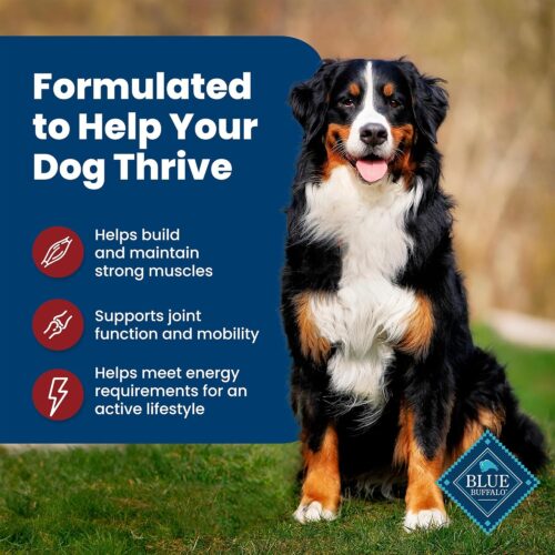 Blue Buffalo Life Protection Formula Adult Dry Dog Food, Helps Build and Maintain Strong Muscles, Made with Natural Ingredients, Chicken & Brown Rice Recipe, 30-lb. Bag - Image 220