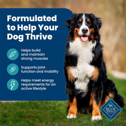 Blue Buffalo Life Protection Formula Adult Dry Dog Food, Helps Build and Maintain Strong Muscles, Made with Natural Ingredients, Chicken & Brown Rice Recipe, 30-lb. Bag - Image 232