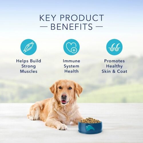 Blue Buffalo Life Protection Formula Adult Dry Dog Food, Helps Build and Maintain Strong Muscles, Made with Natural Ingredients, Chicken & Brown Rice Recipe, 30-lb. Bag - Image 239