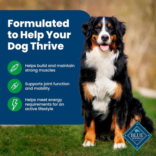 Blue Buffalo Life Protection Formula Adult Dry Dog Food, Helps Build and Maintain Strong Muscles, Made with Natural Ingredients, Chicken & Brown Rice Recipe, 30-lb. Bag - Image 257