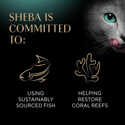 Sheba Perfect Portions Wet Cat Food Cuts in Gravy Variety Pack, Roasted Chicken Entree, With Sustainable Salmon, and Tender Turkey Entree, 2.6 oz. Twin-Pack Trays (24 Count, 48 Servings) - Image 7