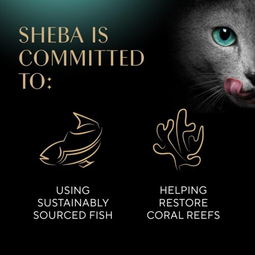 Sheba Perfect Portions Wet Cat Food Cuts in Gravy Variety Pack, Roasted Chicken Entree, With Sustainable Salmon, and Tender Turkey Entree, 2.6 oz. Twin-Pack Trays (24 Count, 48 Servings) - Image 27