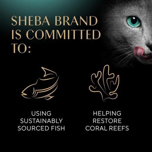 Sheba Perfect Portions Wet Cat Food Cuts in Gravy Variety Pack, Roasted Chicken Entree, With Sustainable Salmon, and Tender Turkey Entree, 2.6 oz. Twin-Pack Trays (24 Count, 48 Servings) - Image 63