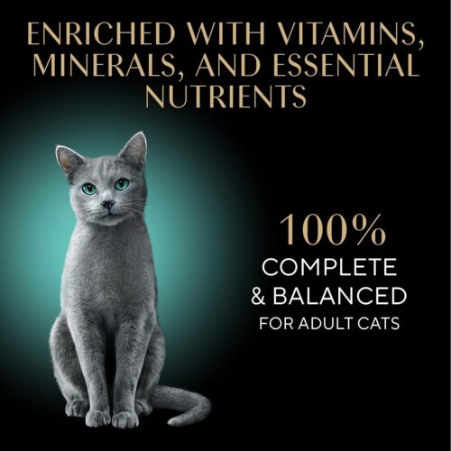 Sheba Perfect Portions Wet Cat Food Cuts in Gravy Variety Pack, Roasted Chicken Entree, With Sustainable Salmon, and Tender Turkey Entree, 2.6 oz. Twin-Pack Trays (24 Count, 48 Servings) - Image 124