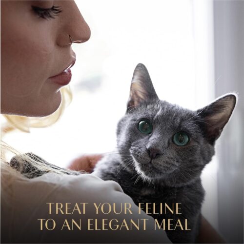 Sheba Perfect Portions Wet Cat Food Cuts in Gravy Variety Pack, Roasted Chicken Entree, With Sustainable Salmon, and Tender Turkey Entree, 2.6 oz. Twin-Pack Trays (24 Count, 48 Servings) - Image 126
