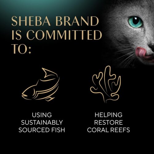 Sheba Perfect Portions Wet Cat Food Cuts in Gravy Variety Pack, Roasted Chicken Entree, With Sustainable Salmon, and Tender Turkey Entree, 2.6 oz. Twin-Pack Trays (24 Count, 48 Servings) - Image 140