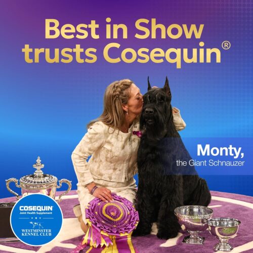 Nutramax Laboratories Cosequin Maximum Strength Joint Health Supplement for Dogs - With Glucosamine, Chondroitin, and MSM, 132 Chewable Tablets - Image 6