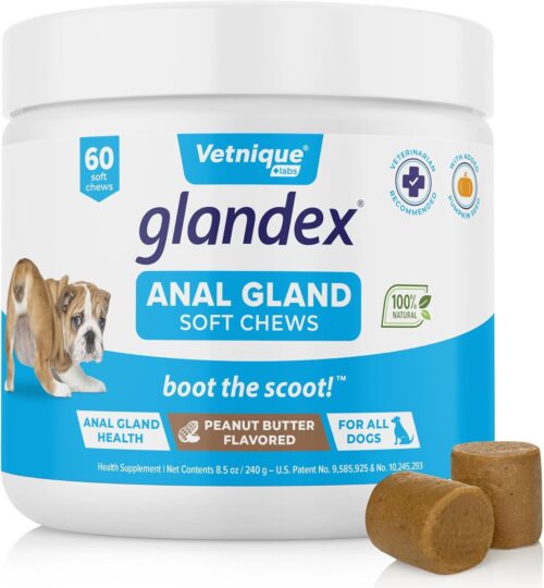 Vetnique Labs Glandex Anal Gland Soft Chew Treats with Pumpkin for Dogs Digestive Enzymes, Probiotics Fiber Supplement for Dogs Boot The Scoot (Peanut Butter Chews, 60 Count)
