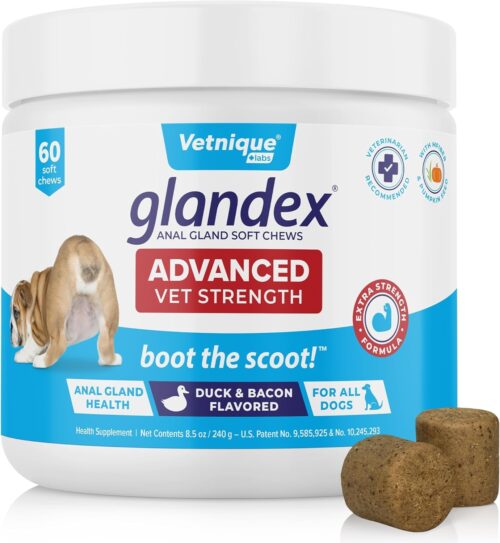 Vetnique Labs Glandex Anal Gland Soft Chew Treats with Pumpkin for Dogs Digestive Enzymes, Probiotics Fiber Supplement for Dogs Boot The Scoot (Peanut Butter Chews, 60 Count) - Image 13