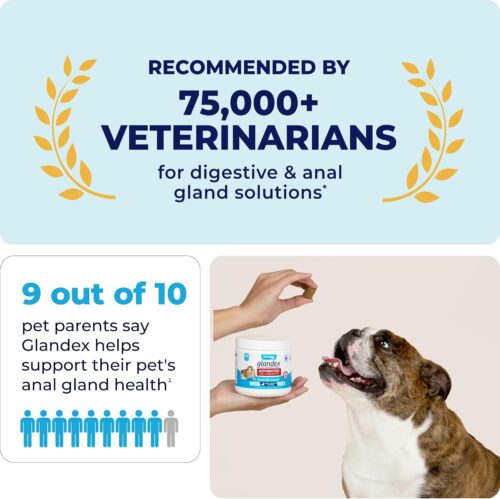 Vetnique Labs Glandex Anal Gland Soft Chew Treats with Pumpkin for Dogs Digestive Enzymes, Probiotics Fiber Supplement for Dogs Boot The Scoot (Peanut Butter Chews, 60 Count) - Image 15