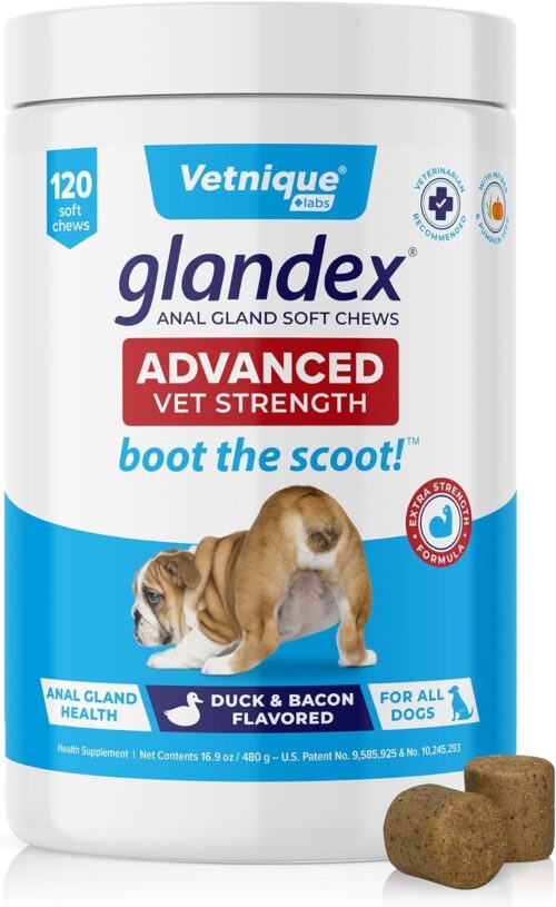 Vetnique Labs Glandex Anal Gland Soft Chew Treats with Pumpkin for Dogs Digestive Enzymes, Probiotics Fiber Supplement for Dogs Boot The Scoot (Peanut Butter Chews, 60 Count) - Image 34