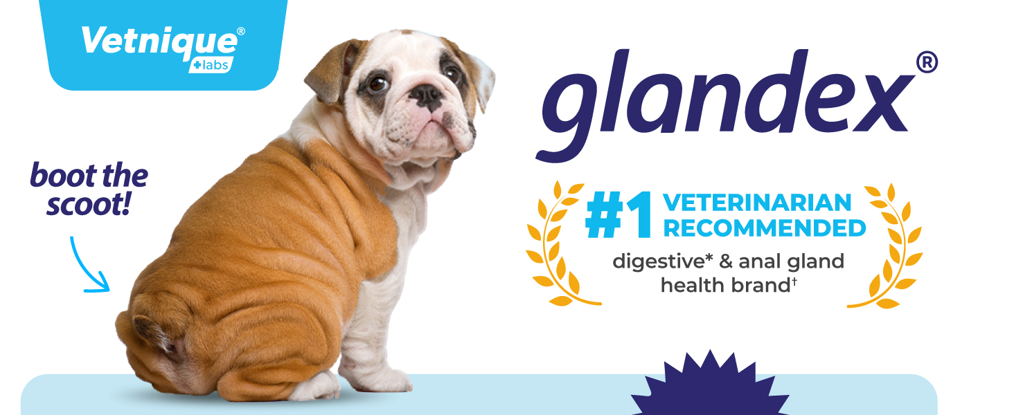 glandex anal gland health