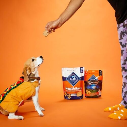 Blue Buffalo Health Bars Crunchy Dog Biscuits, Oven-Baked With Natural Ingredients, Pumpkin & Cinnamon, 16-oz Bag - Image 2