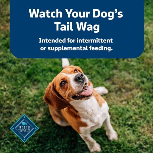 Blue Buffalo Health Bars Crunchy Dog Biscuits, Oven-Baked With Natural Ingredients, Pumpkin & Cinnamon, 16-oz Bag - Image 67