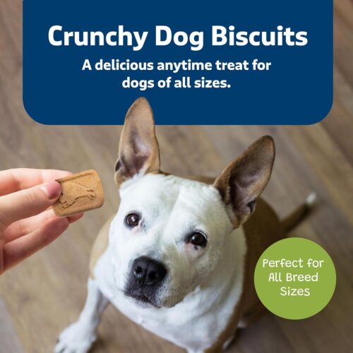 Blue Buffalo Health Bars Crunchy Dog Biscuits, Oven-Baked With Natural Ingredients, Pumpkin & Cinnamon, 16-oz Bag - Image 93