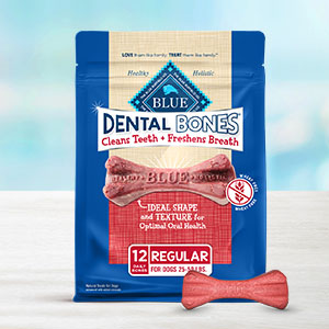 Dog, Dog bones, Dog treat, Dog treats, Healthy dog treats, Natural dog treats, Training treats