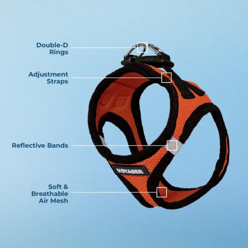 Best Pet Supplies Voyager Step-in Air Dog Harness - All Weather Mesh, Reflective, No Pull Harness for Small, Medium Dogs, Cats - Secure with Hook & Loop Fastener, Buckle, Double D-Rings - Fuchsia, S - Image 45