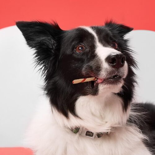 DreamBone Twist Sticks, Made With Real Chicken, Rawhide-Free Chews for Dogs, 50 Count - Image 32