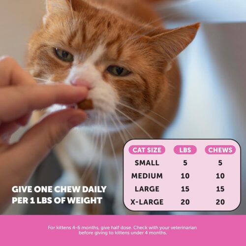 Pet Honesty Cat Multivitamin Crunchy & Creamy Chews - Cat Treats for Health + Immune, Joint Support, Skin & Coat, & Digestion - Vitamins with Omega 3s, Lysine & Probiotics (30 Day Supply) - Image 5