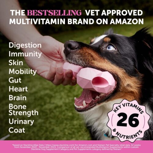 Pet Honesty Cat Multivitamin Crunchy & Creamy Chews - Cat Treats for Health + Immune, Joint Support, Skin & Coat, & Digestion - Vitamins with Omega 3s, Lysine & Probiotics (30 Day Supply) - Image 11