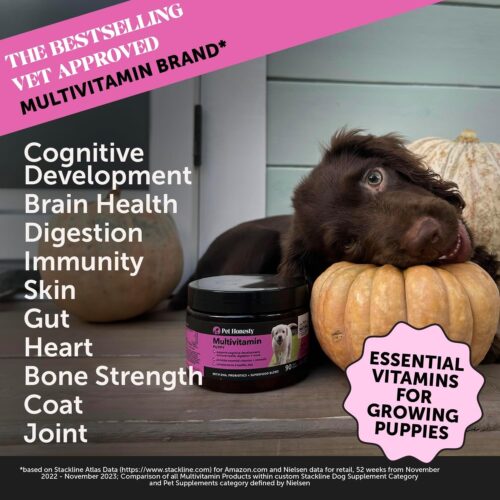 Pet Honesty Cat Multivitamin Crunchy & Creamy Chews - Cat Treats for Health + Immune, Joint Support, Skin & Coat, & Digestion - Vitamins with Omega 3s, Lysine & Probiotics (30 Day Supply) - Image 21