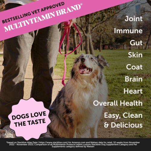 Pet Honesty Cat Multivitamin Crunchy & Creamy Chews - Cat Treats for Health + Immune, Joint Support, Skin & Coat, & Digestion - Vitamins with Omega 3s, Lysine & Probiotics (30 Day Supply) - Image 31