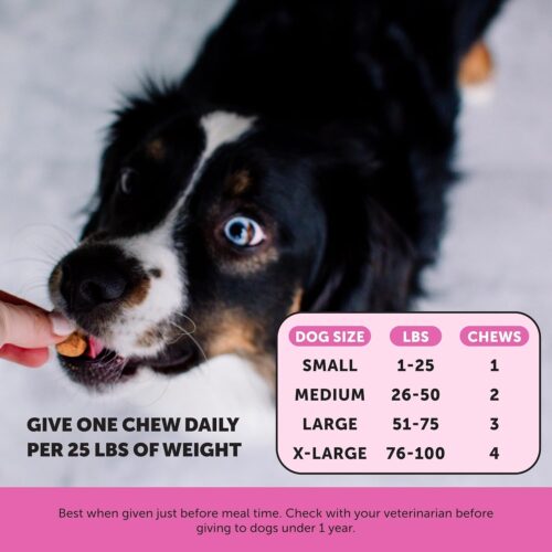 Pet Honesty Cat Multivitamin Crunchy & Creamy Chews - Cat Treats for Health + Immune, Joint Support, Skin & Coat, & Digestion - Vitamins with Omega 3s, Lysine & Probiotics (30 Day Supply) - Image 48