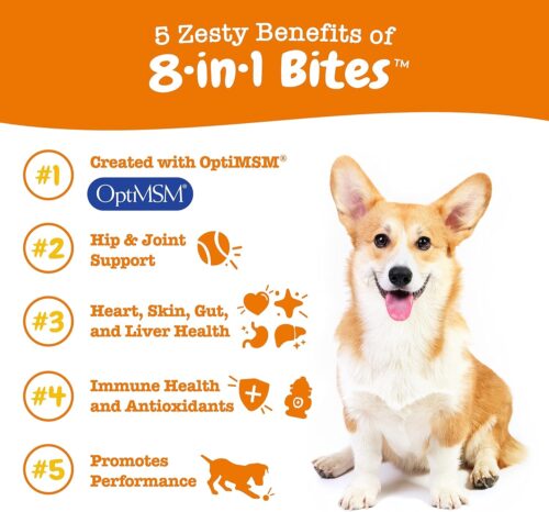 Zesty Paws Multivitamin Treats for Dogs - Glucosamine Chondroitin for Joint Support + Digestive Enzymes & Probiotics - Grain Free Dog Vitamin for Skin & Coat + Immune Health - Chicken Flavor - 90ct - Image 9