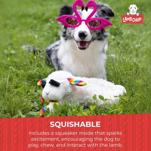 Multipet Lamb Chop Dog Plush Toy - Squeaky Toy for All Dogs - Extra Soft Plush - Stuffed Animal Dog Toy for Cuddling & Playing - Cute Pet Toy (6", Cream) - Image 5