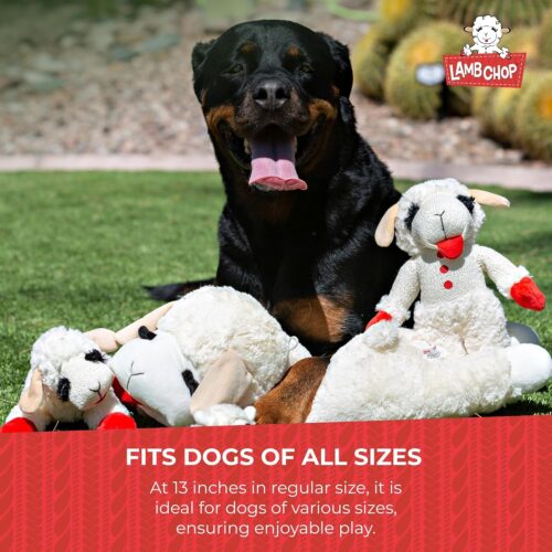 Multipet Lamb Chop Dog Plush Toy - Squeaky Toy for All Dogs - Extra Soft Plush - Stuffed Animal Dog Toy for Cuddling & Playing - Cute Pet Toy (6", Cream) - Image 16