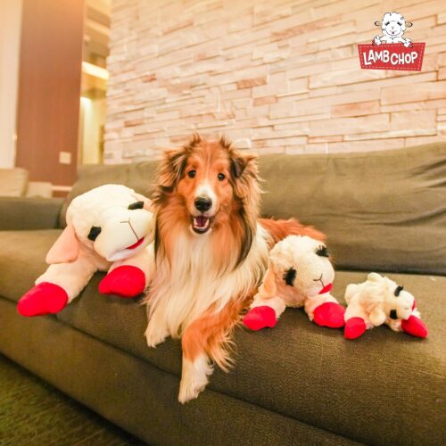 Multipet Lamb Chop Dog Plush Toy - Squeaky Toy for All Dogs - Extra Soft Plush - Stuffed Animal Dog Toy for Cuddling & Playing - Cute Pet Toy (6", Cream) - Image 17