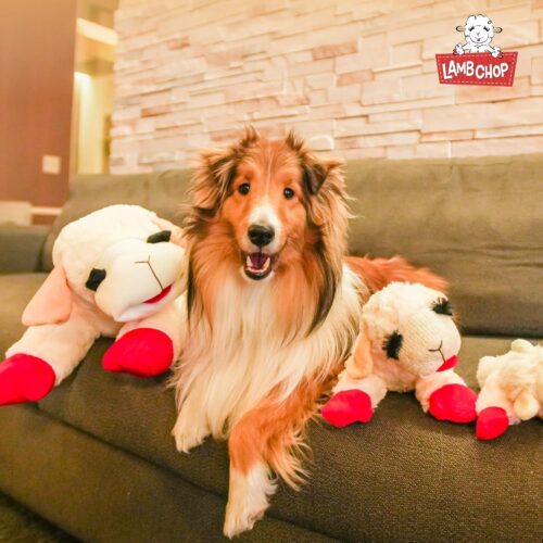 Multipet Lamb Chop Dog Plush Toy - Squeaky Toy for All Dogs - Extra Soft Plush - Stuffed Animal Dog Toy for Cuddling & Playing - Cute Pet Toy (6", Cream) - Image 34